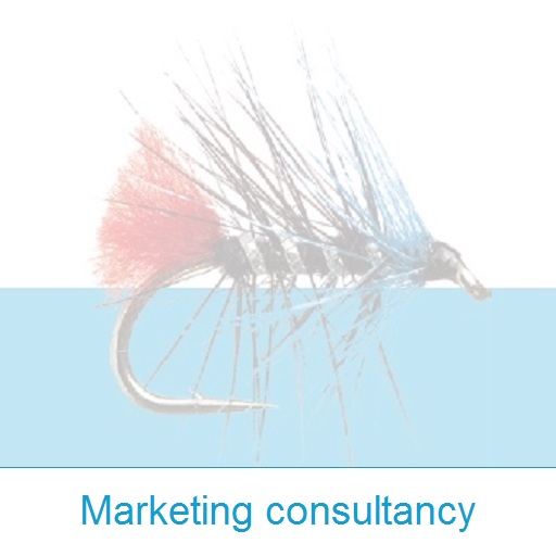 Marketing consultancy