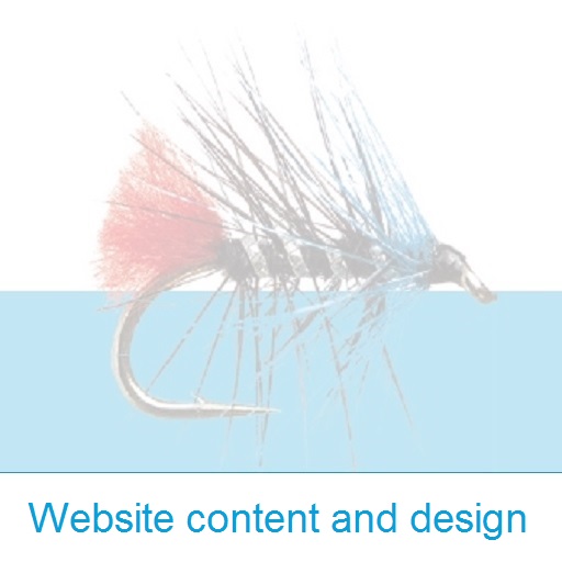 website design and content